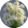 loga logu profile picture