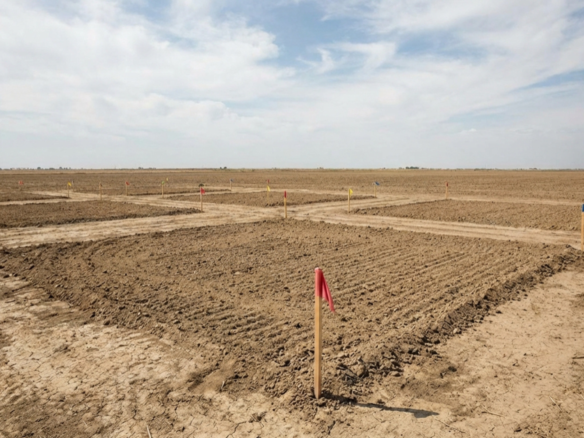 land promoters in madurai
