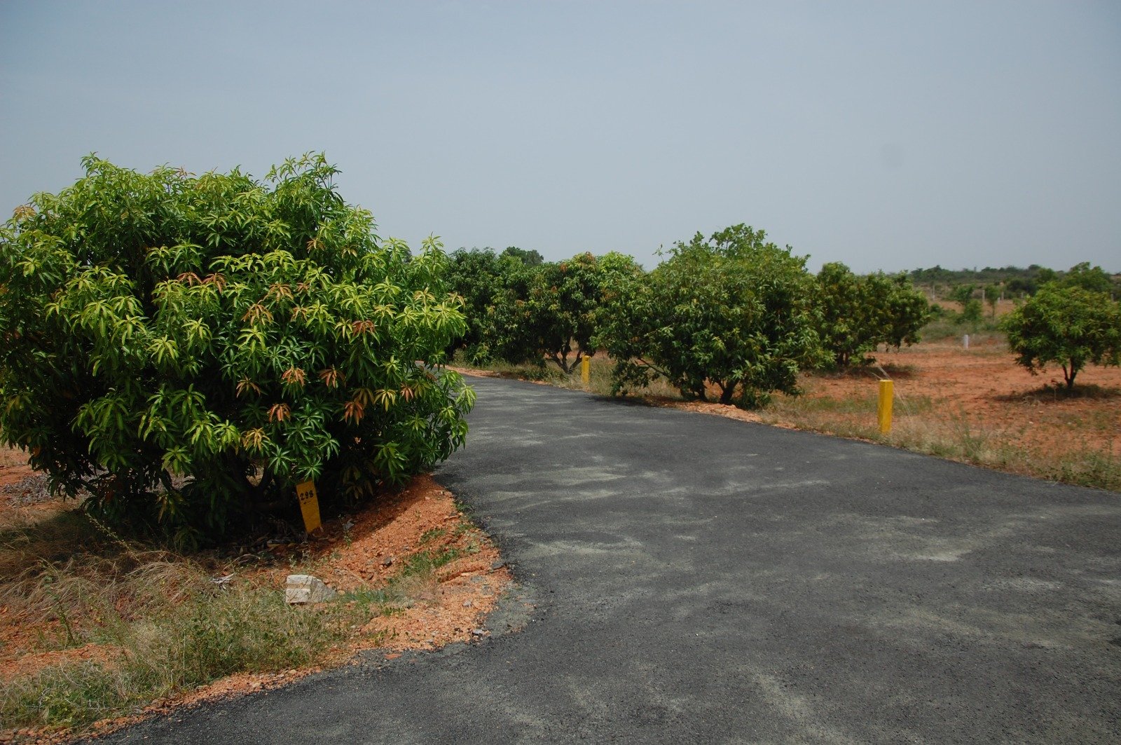 Star Holiday Resort