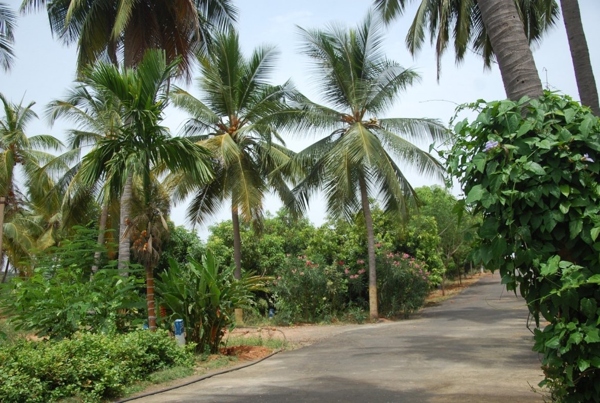 Star Holiday Resort – Alanganallur