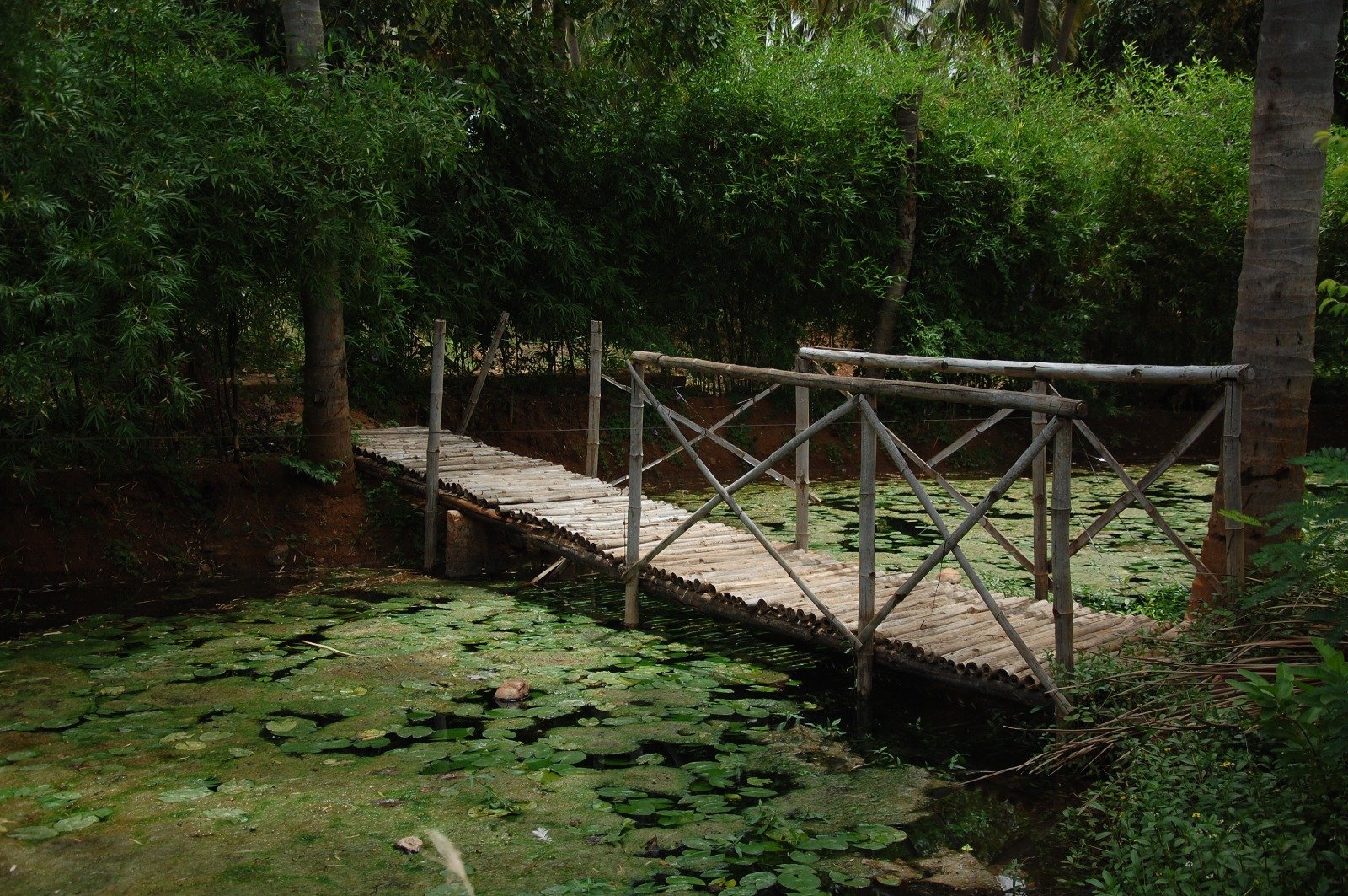 Star Holiday Resort – Alanganallur