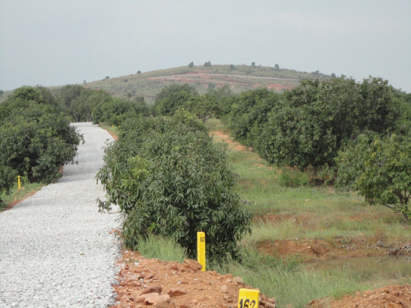 Star Holiday Resort – Alanganallur
