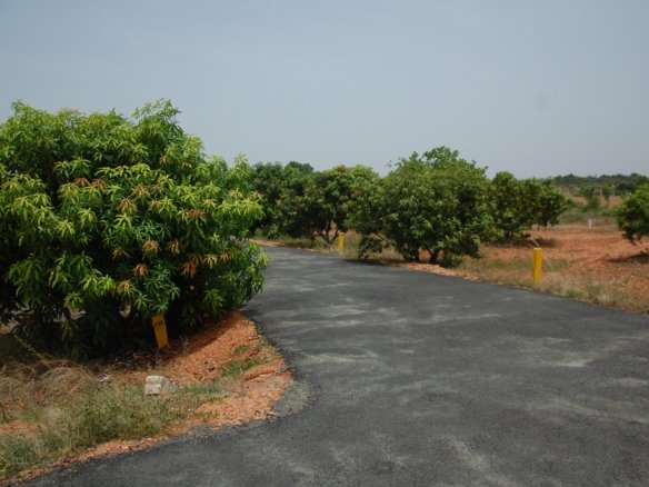 Star Holiday Resort
