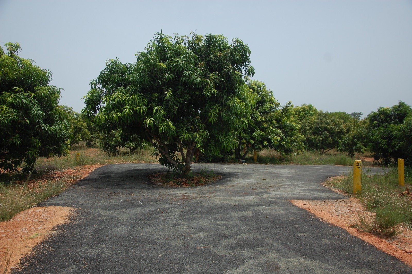 Star Holiday Resort