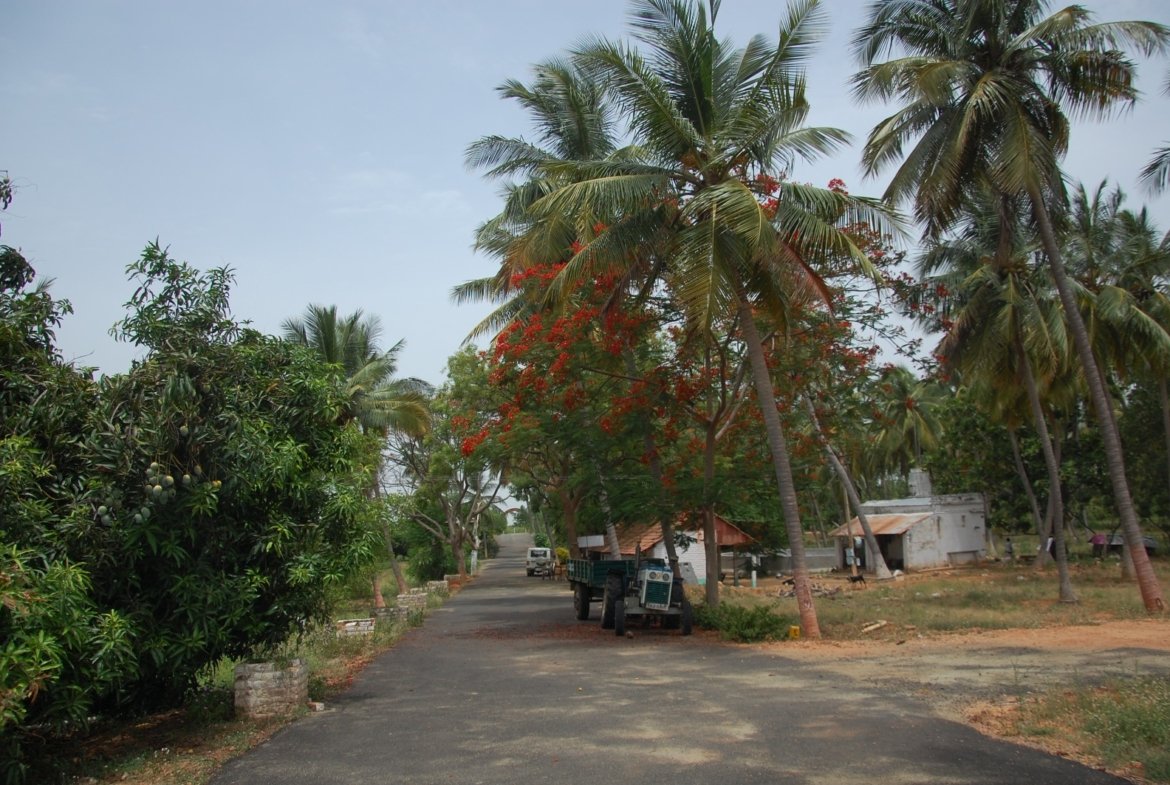 Star Holiday Resort