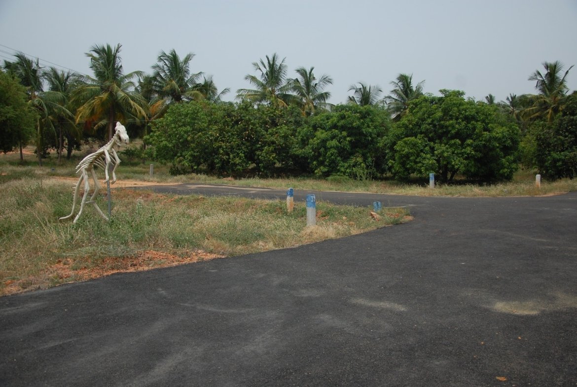 Star Holiday Resort